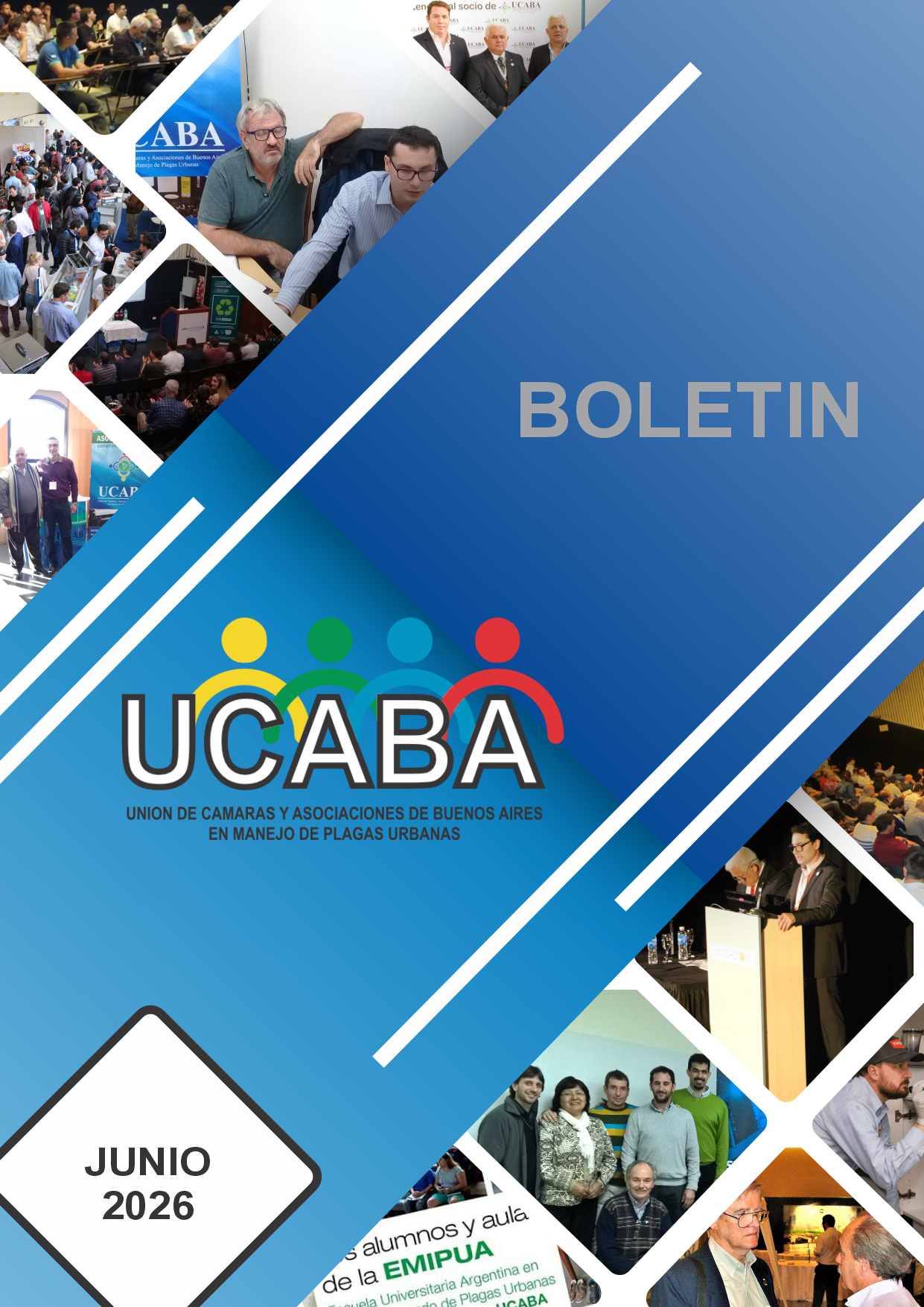 Boletín
