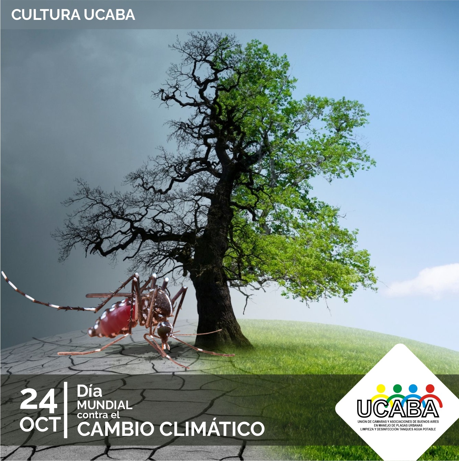 24/10 Día Mundial Contra el Cambio Climático